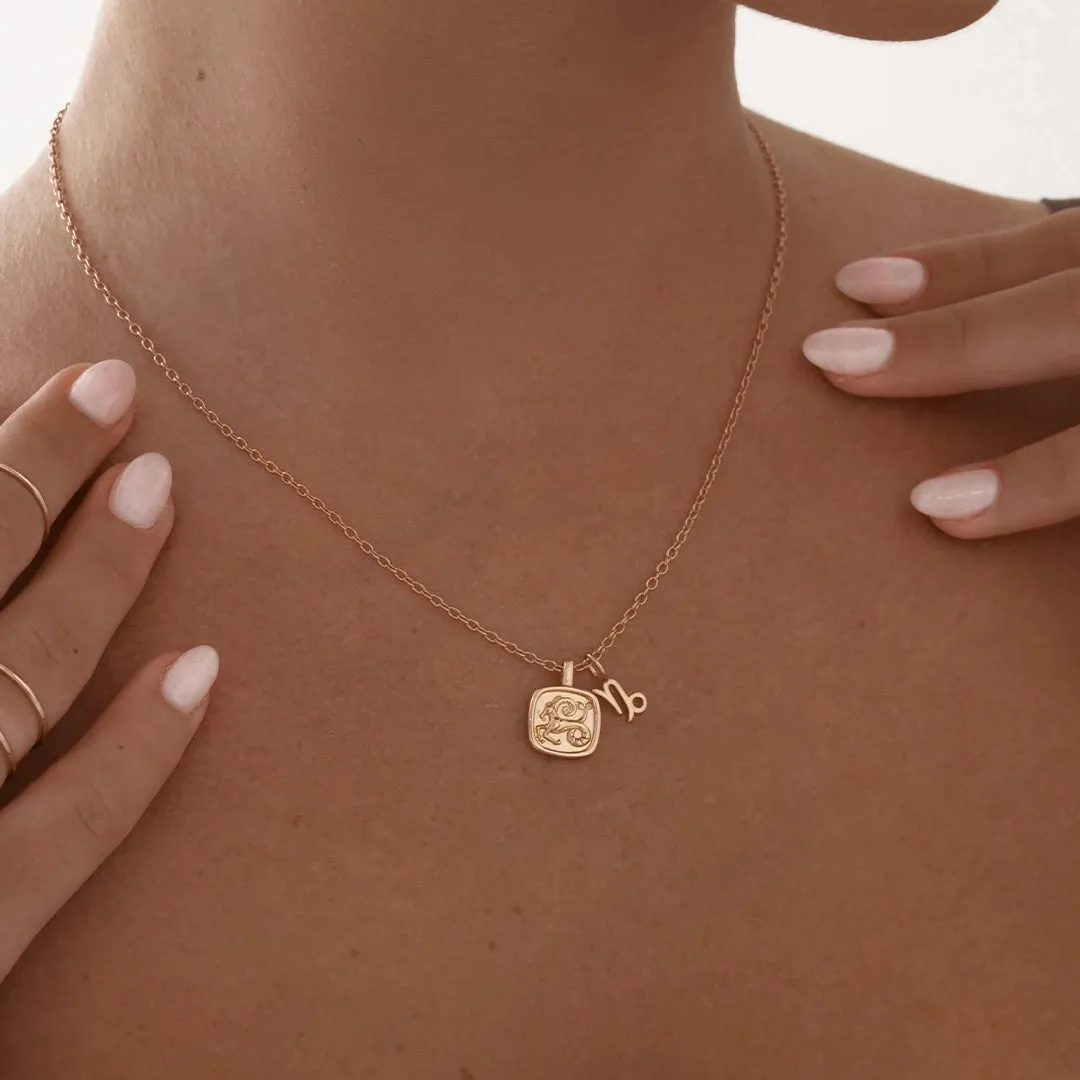 Capricorn Charm