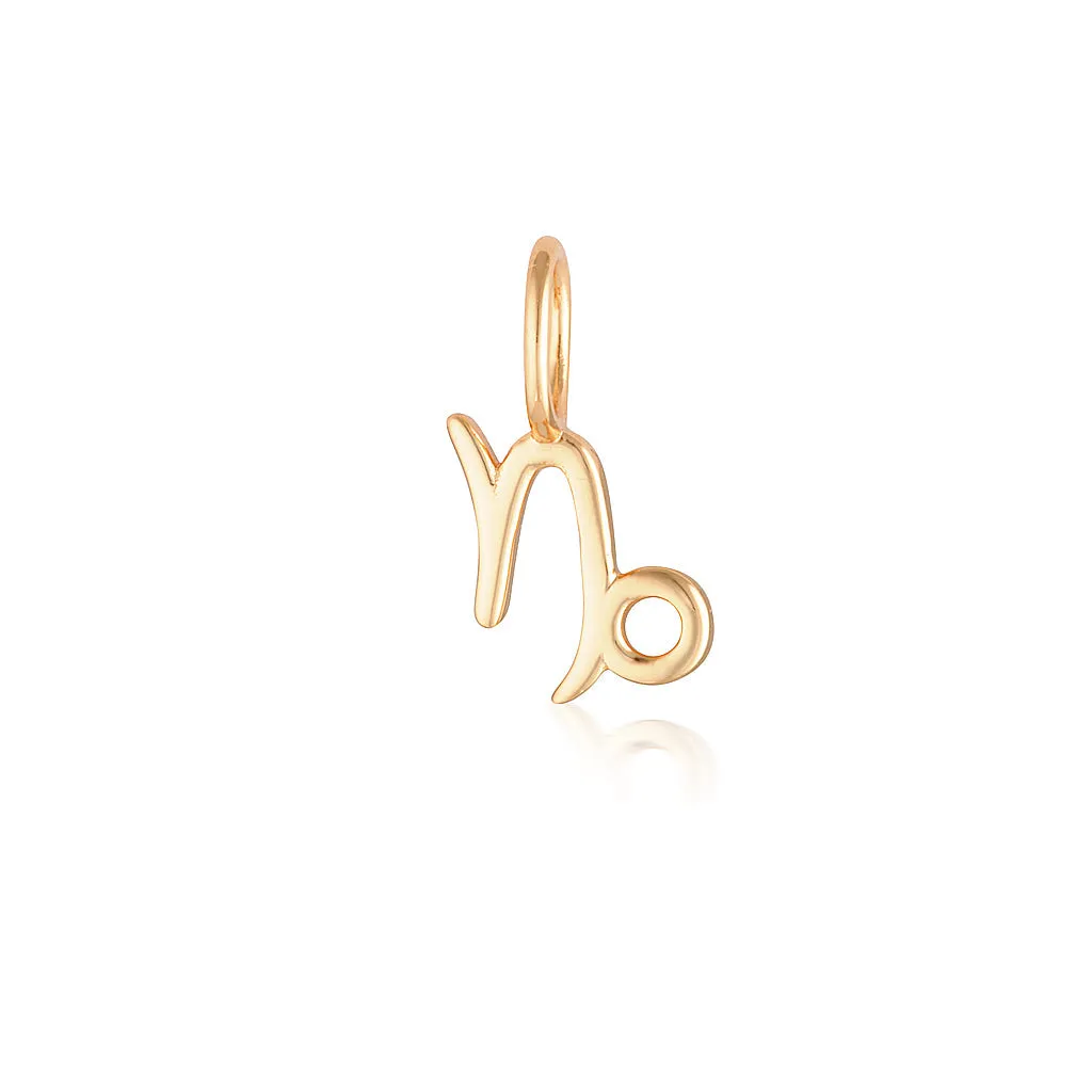 Capricorn Charm