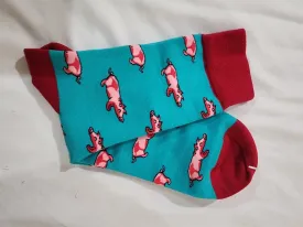 Colourful socks - sweet pigs