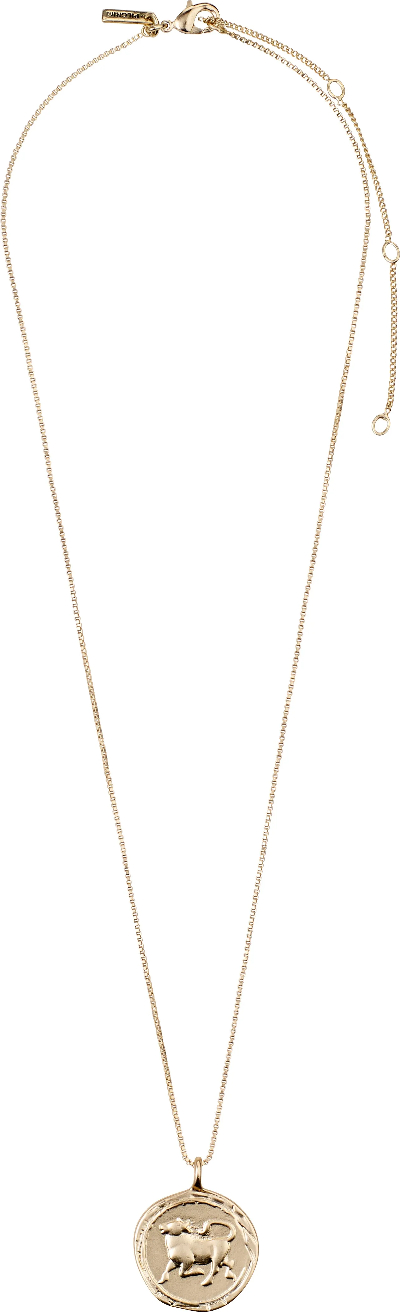 Horoscope Double Sided Necklace
