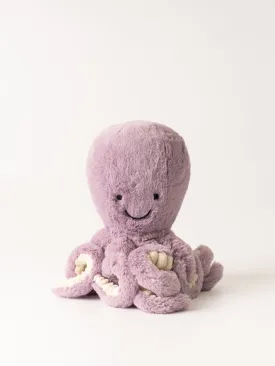 Little Maya Octopus