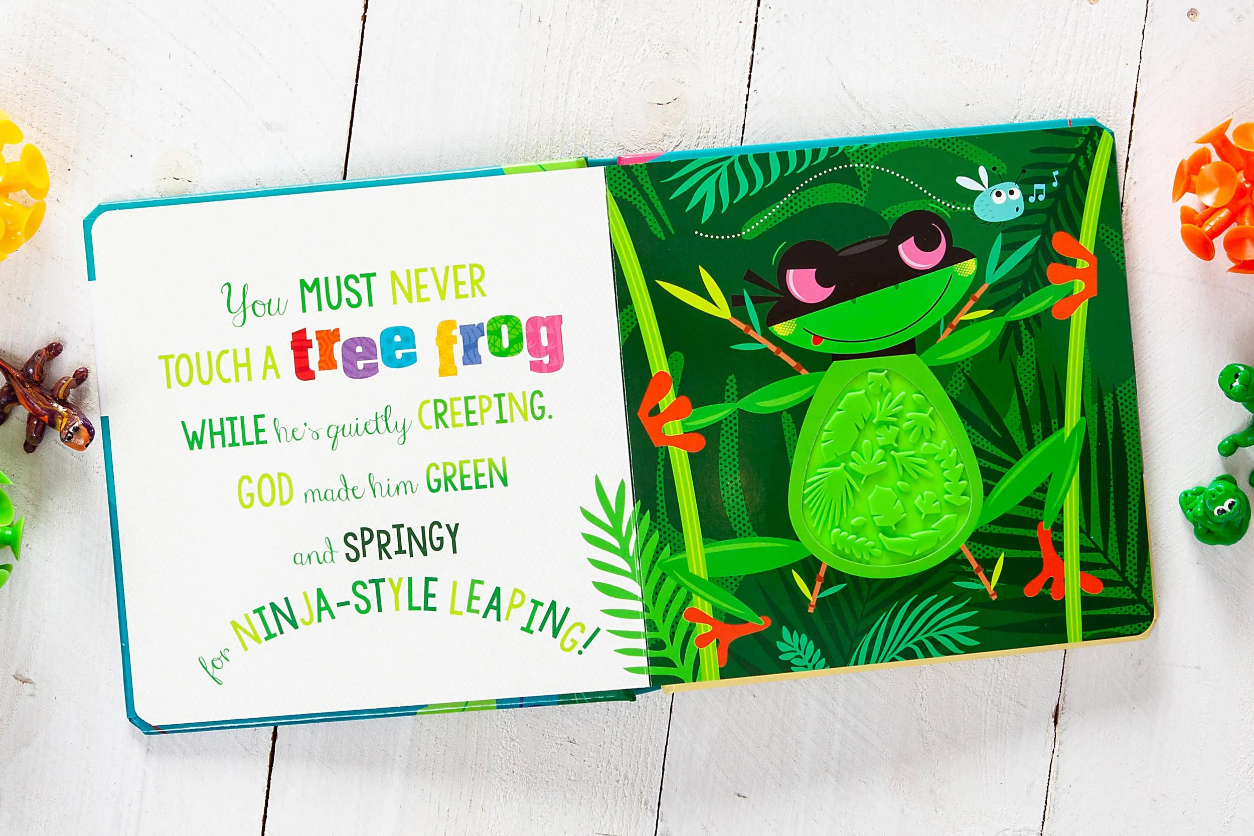 Never Touch God’s Colorful Creations (Tactile Book Ages 0 )